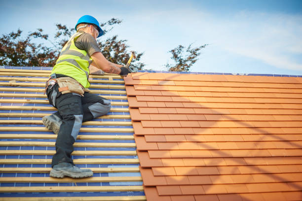 Best Asphalt Shingles Roofing  in Pine Hills, FL